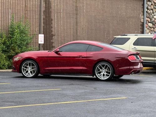 2015 Ford Mustang — photo 12