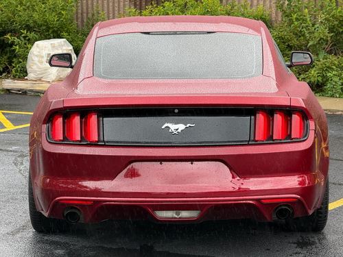 2015 Ford Mustang — photo 14