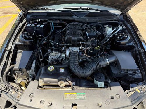 2009 Ford Mustang Premium — photo 14
