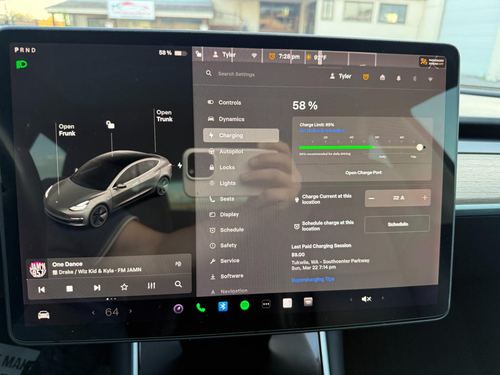 2019 Tesla Model 3 — photo 33