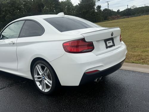 2017 BMW 230 — photo 9