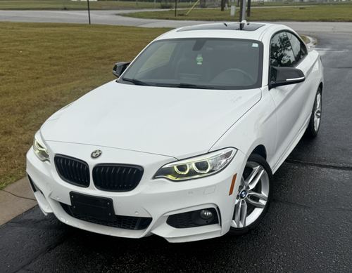 2017 BMW 230 — photo 14