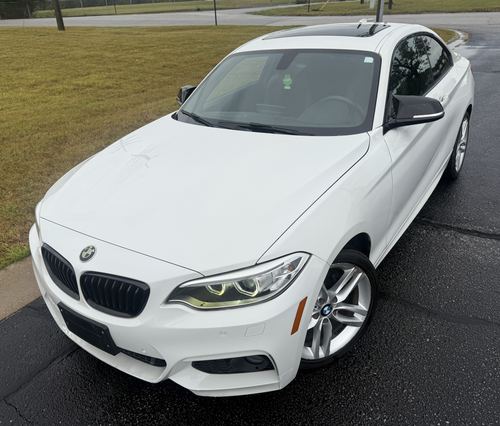 2017 BMW 230 — photo 16