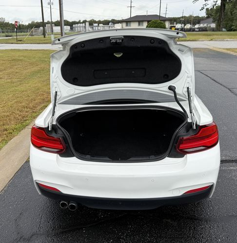 2017 BMW 230 — photo 39